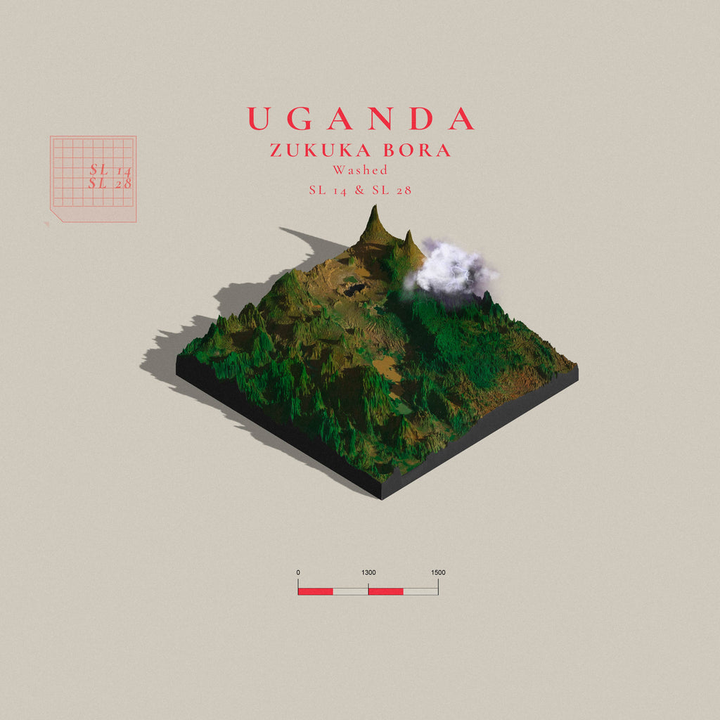 Uganda Zukuka Bora  | Muyanda Mt Elgon (Single Origin Filter)