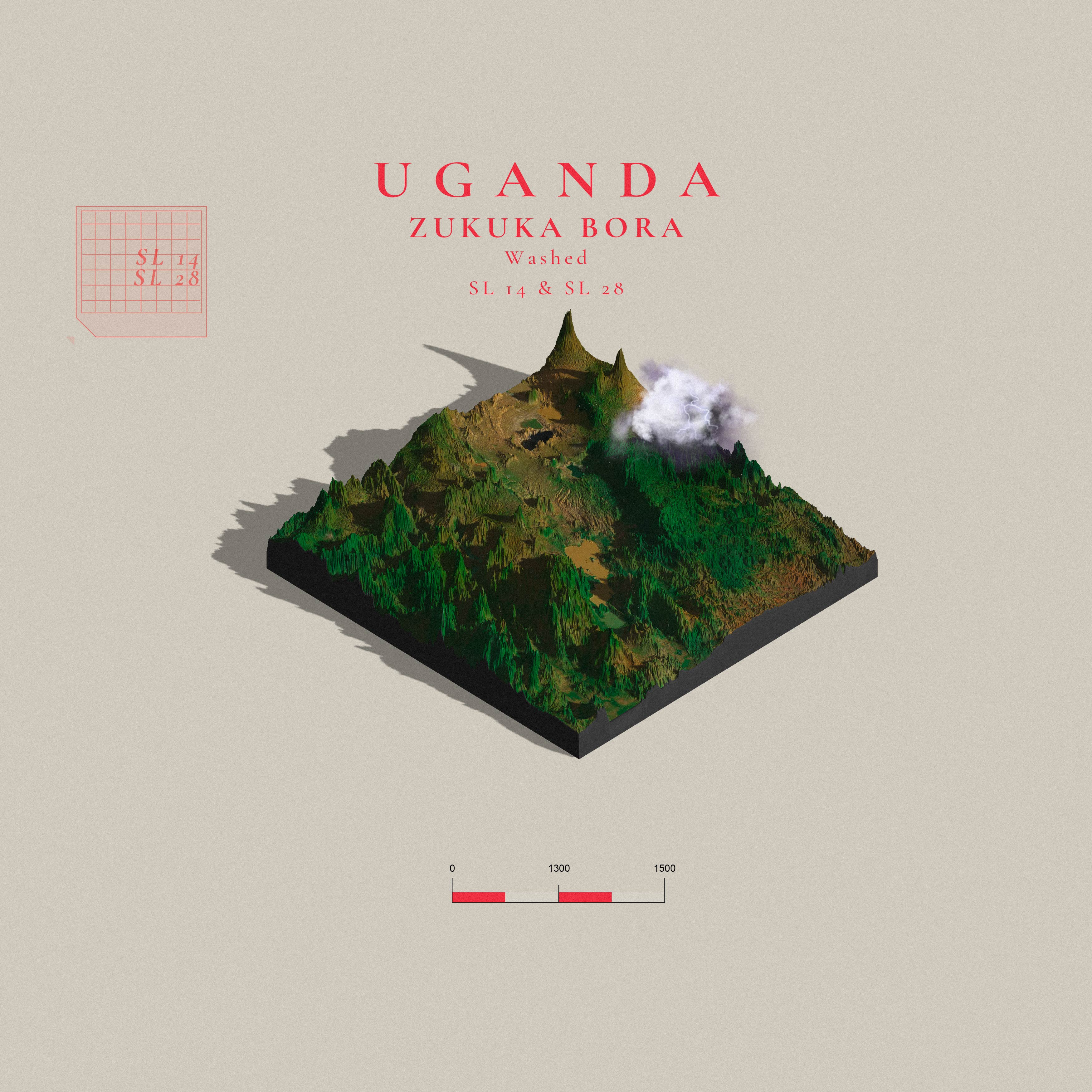Uganda Zukuka Bora  | Muyanda Mt Elgon (Single Origin Filter)