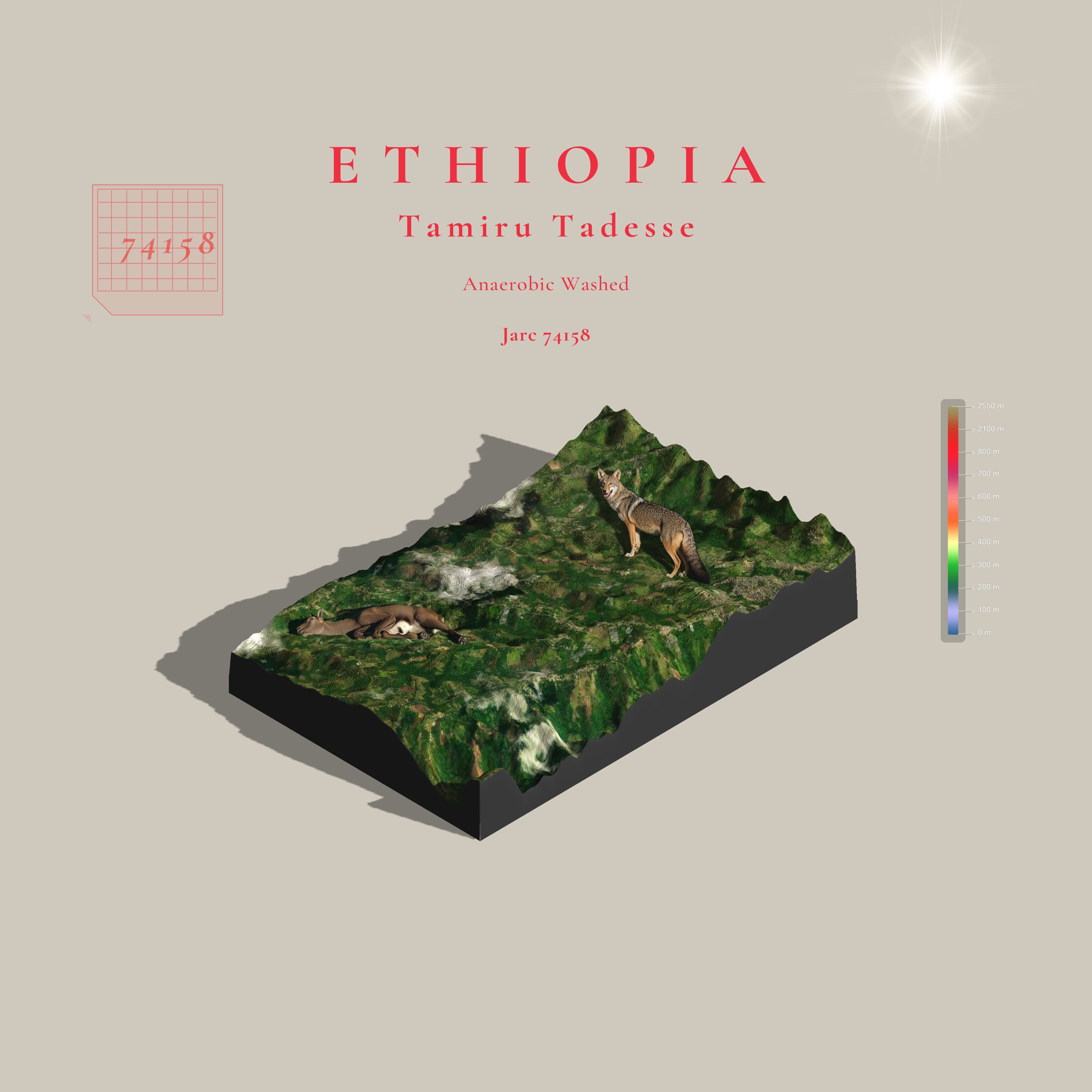 Ethiopia Alo Anaerobic Washed | Bensa Sidama (Single Origin Filter)