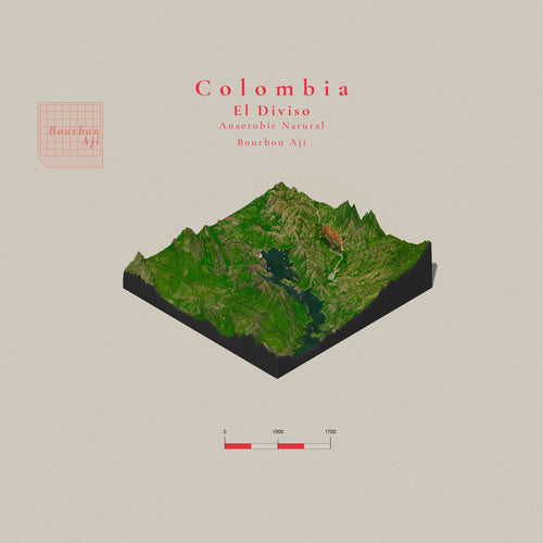 Colombia El Diviso Bourbon Aji | Anaerobic Natural | Filter Roast Only