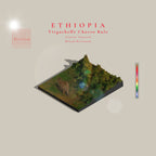 Ethiopia Chorso Bule Classic Natural | Yirgacheffee | (Single Origin Filter)
