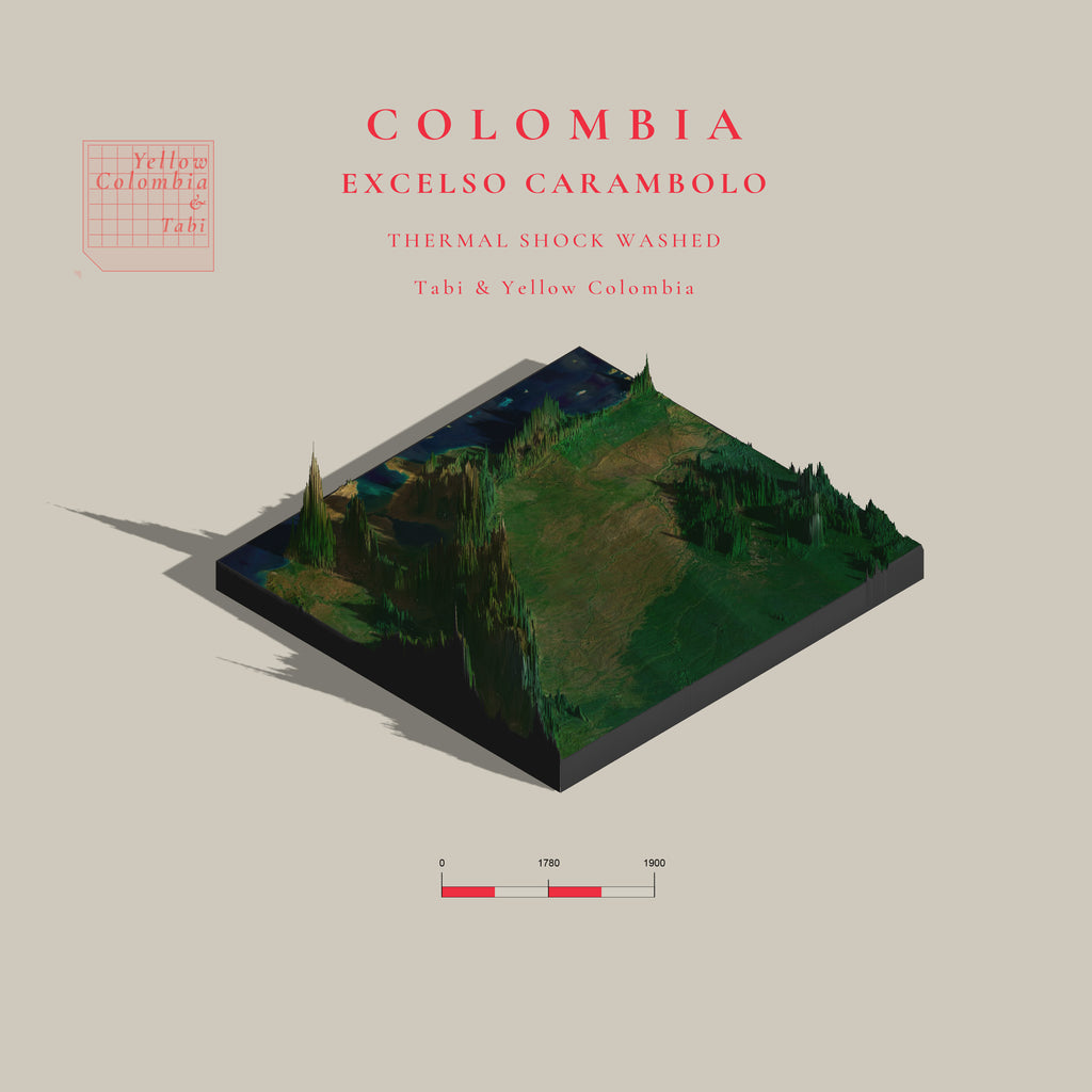 Colombia Excelso Carambolo | Thermal shock washed  (Single Origin Espresso)