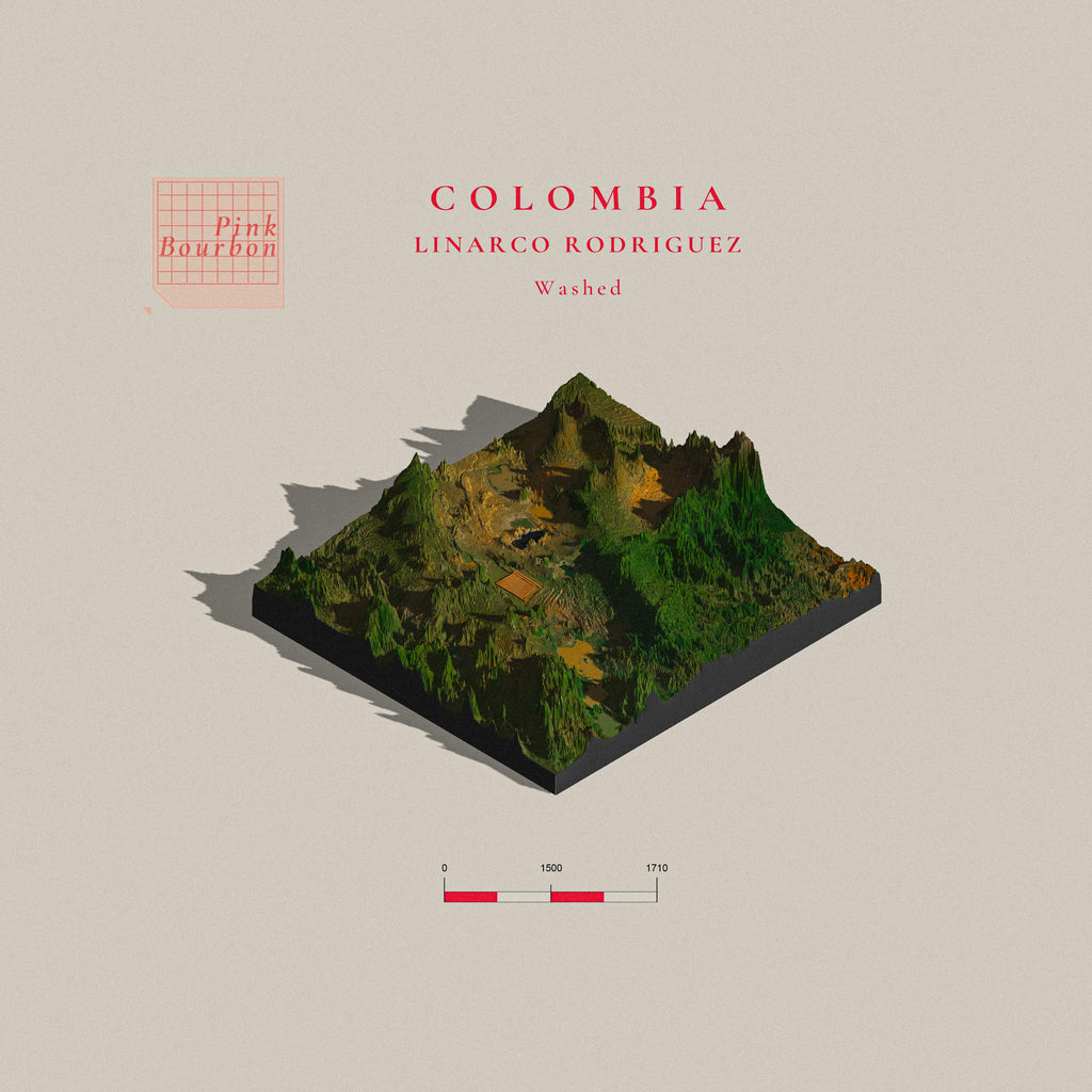 Colombia Linarco Rodriguez | Palestina Huila (Single Origin Espresso)