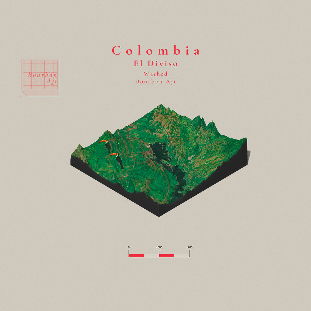 Colombia El Diviso Bourbon Aji | Washed | Filter Roast Only
