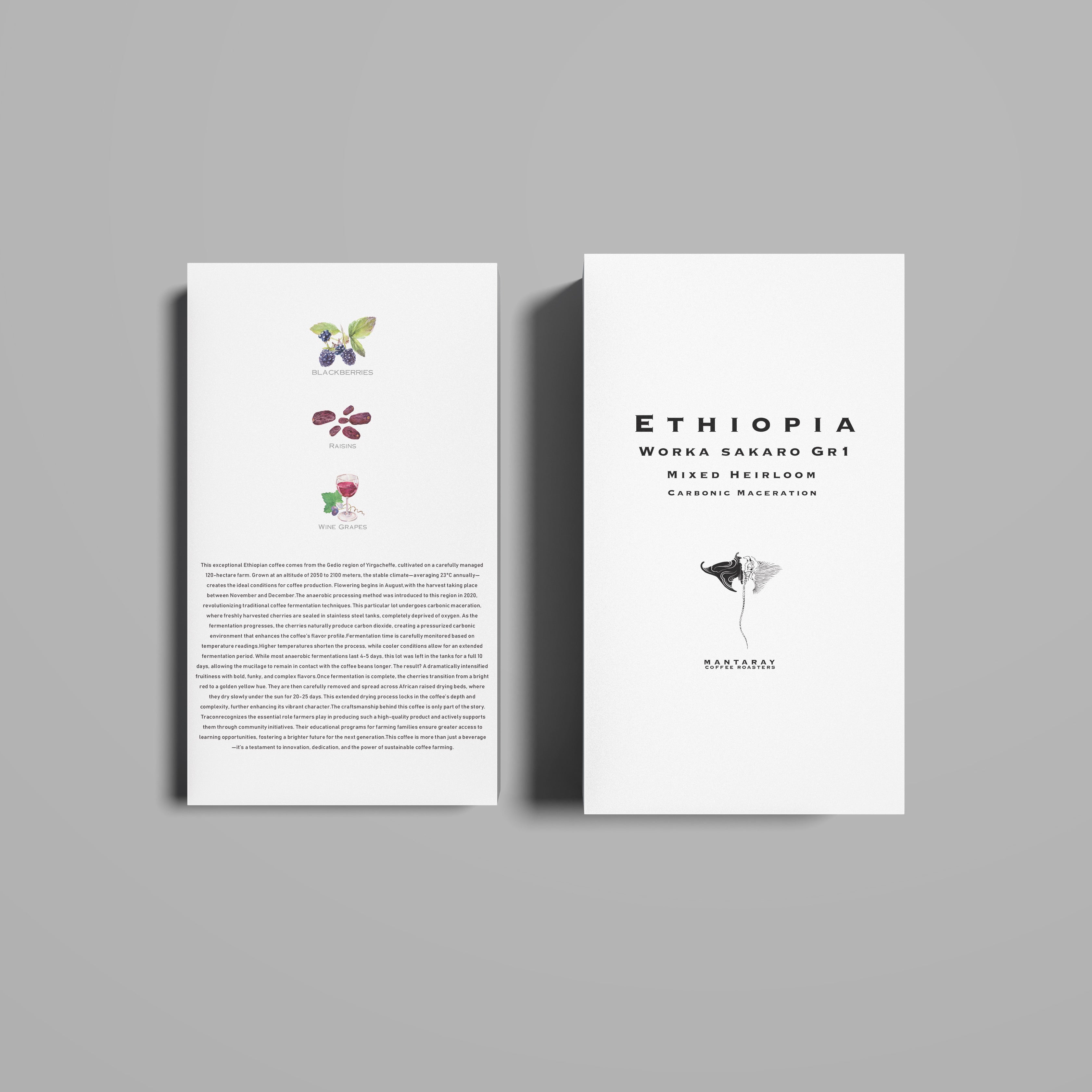 Ethiopia Worka Sakaro Gr 1 | Yirgacheffee Carbonic Maceration (Single Origin Filter)