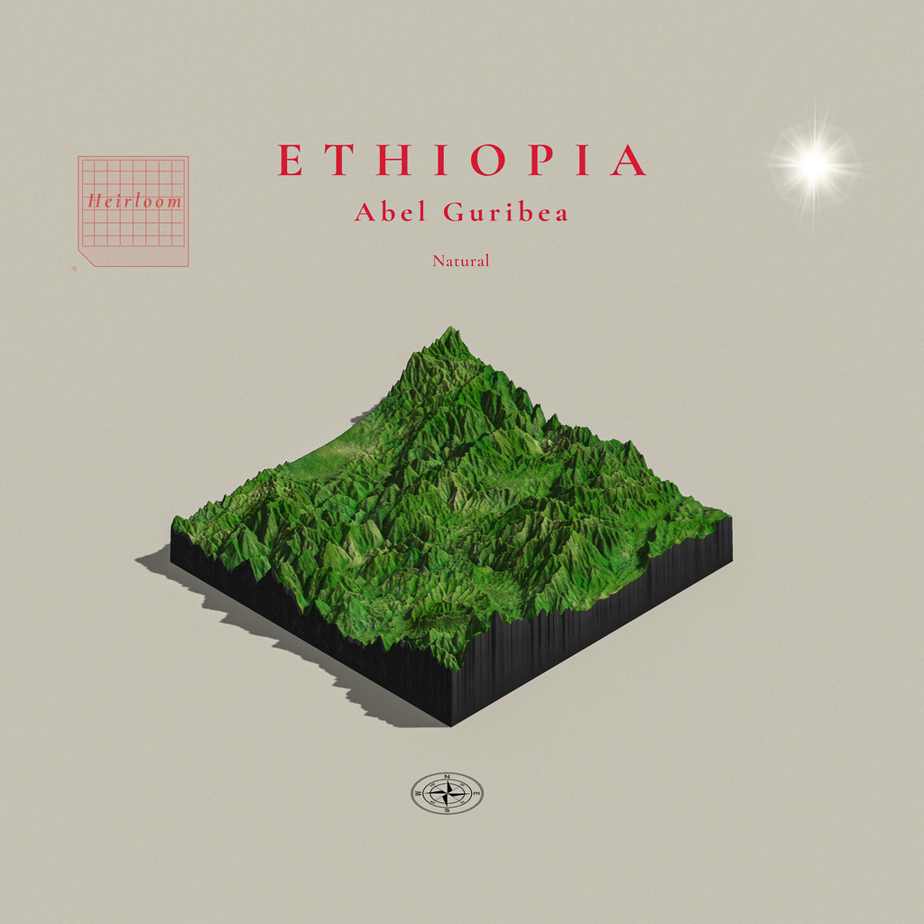 Ethiopia Abel Guribea Natural | Hambela (Single Origin Espresso)