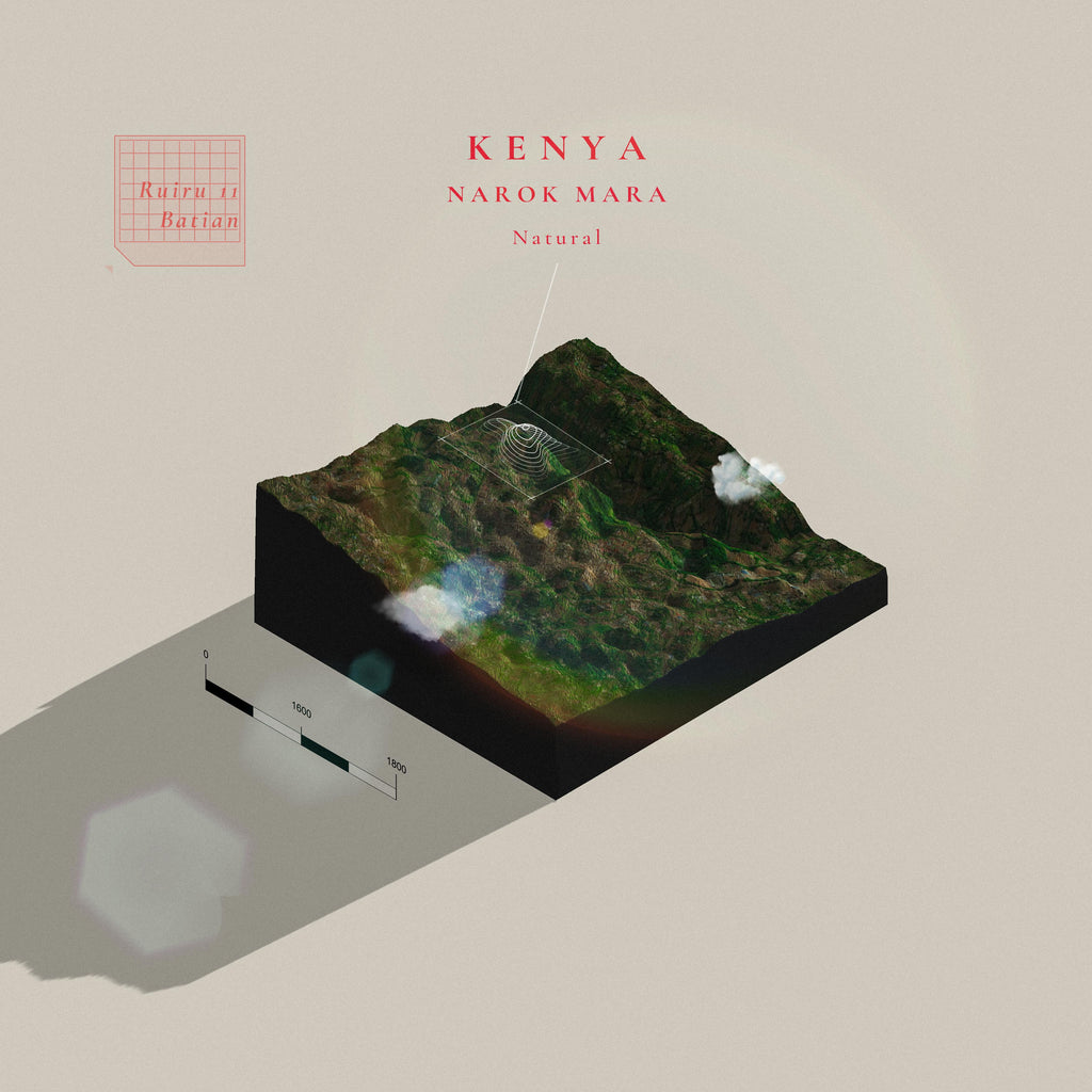 Kenya Narok Mara Natural (Single Origin Filter)