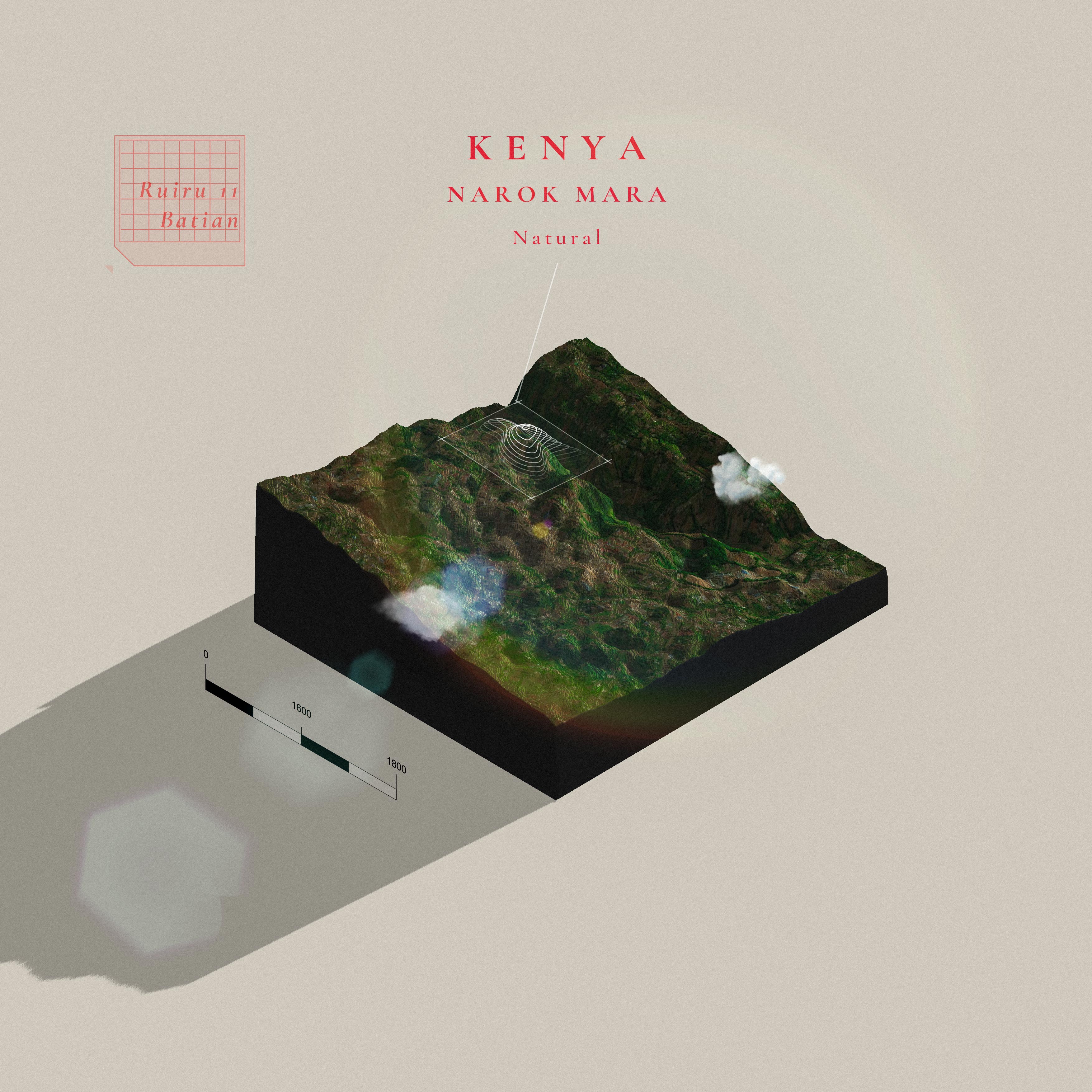 Kenya Narok Mara Natural (Single Origin Filter)