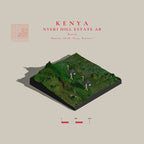Kenya Nyeri Hill AB (Single Origin Filter)