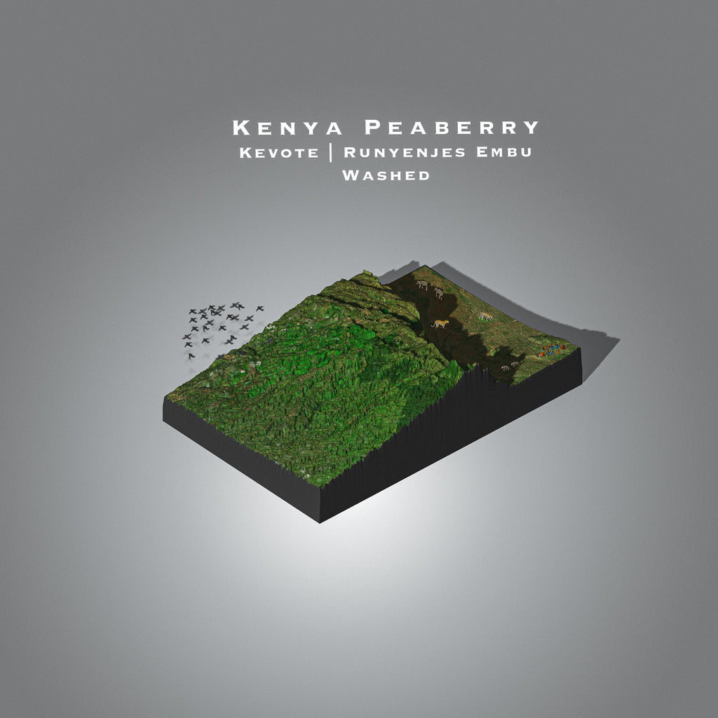 Kenya Peaberry | Kevote Runyenjes Embu (Single Origin Espresso)