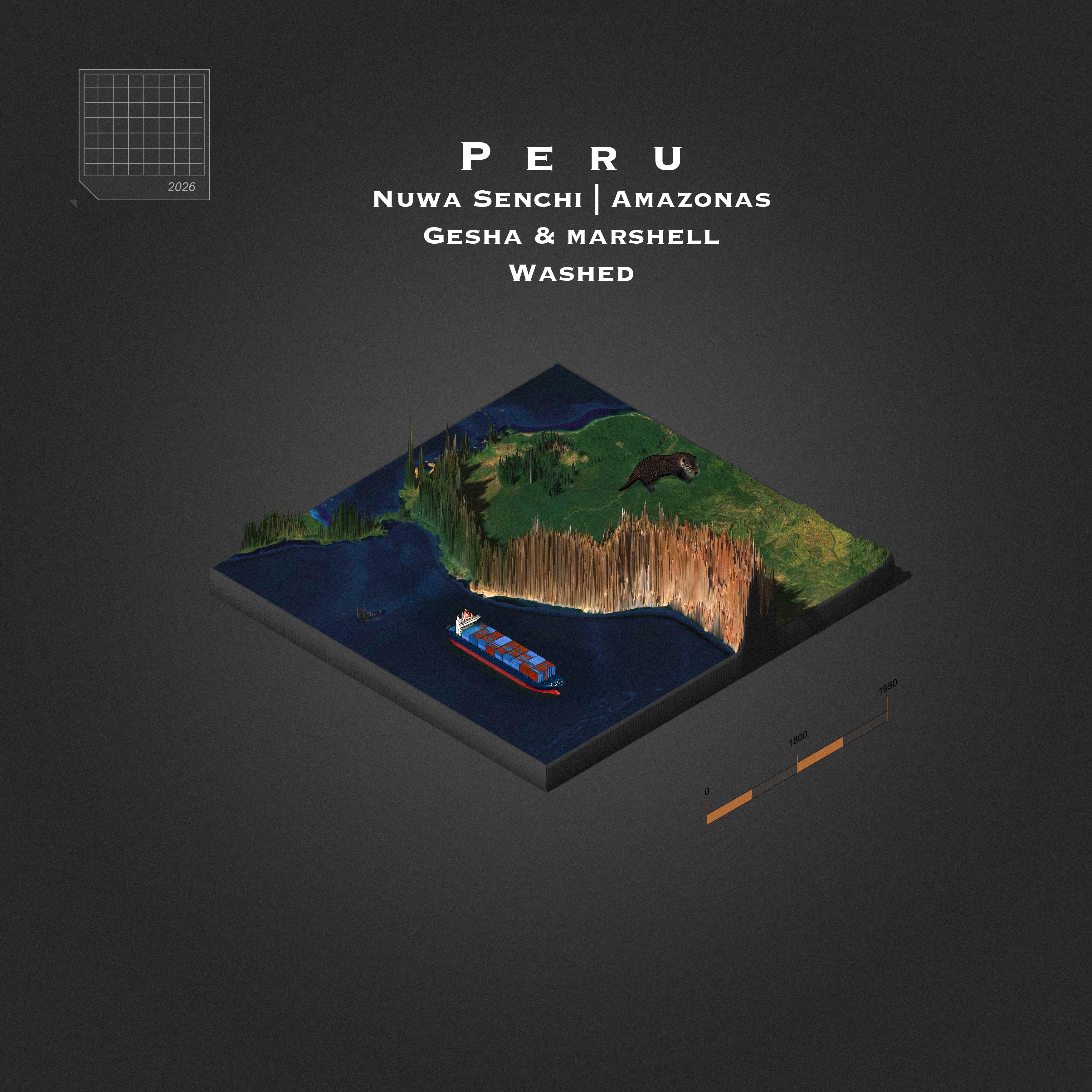 Peru Nuwa Senchi  Gesha & Marshell Washed | Amazonas