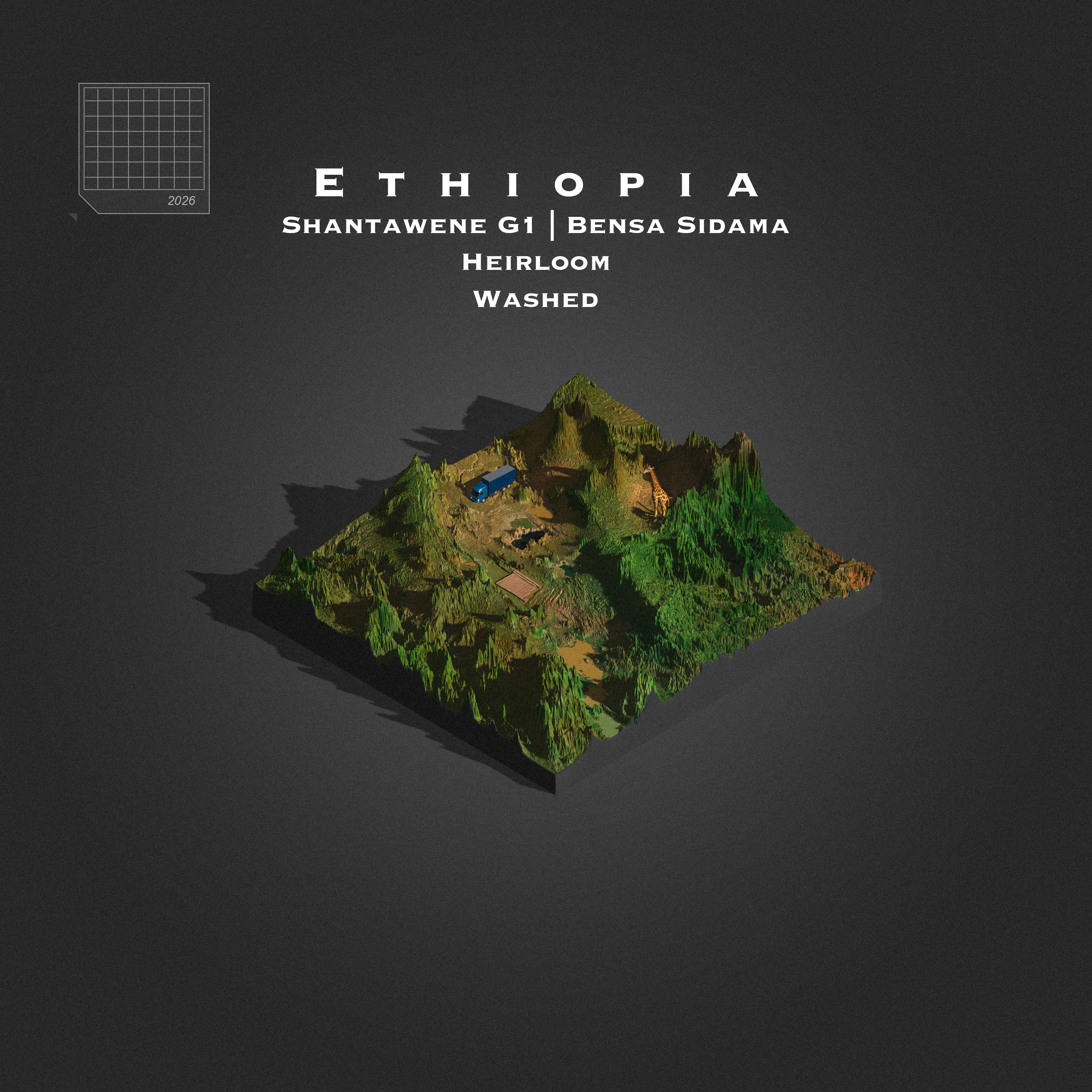 Ethiopia Shantawene Washed G1 | Bensa Sidama | (Single Origin Filter)