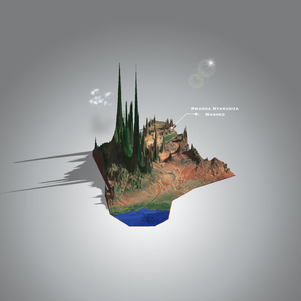 Rwanda Nyarusiza washed (Single Origin Filter)